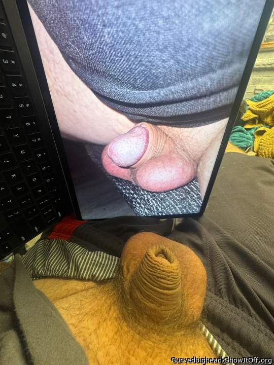 Tribute... cock112