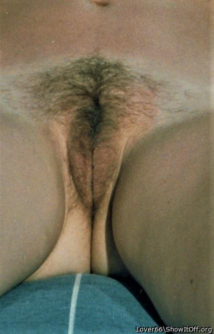 Her lovely hariy pussy.