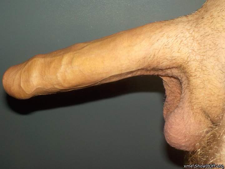 Adult image from xme