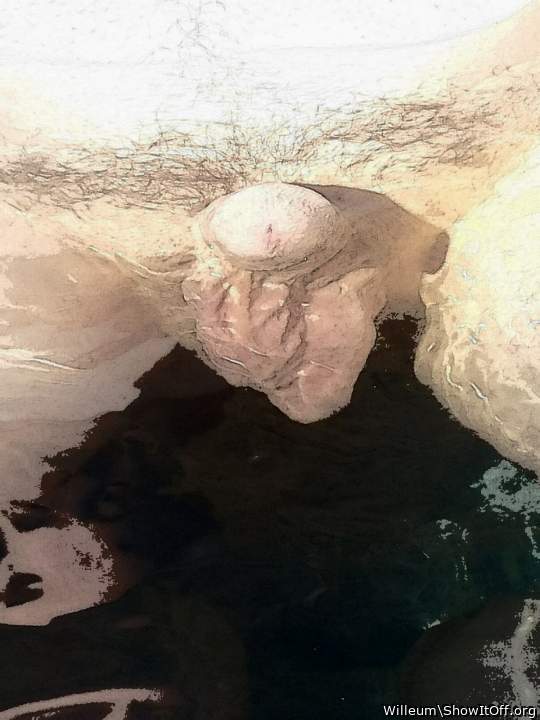 Adult image from Willeum