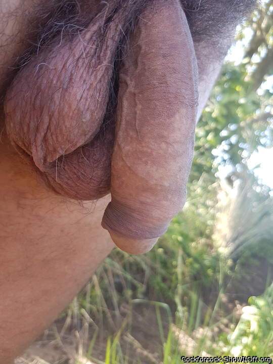 Perfect cock!! 
