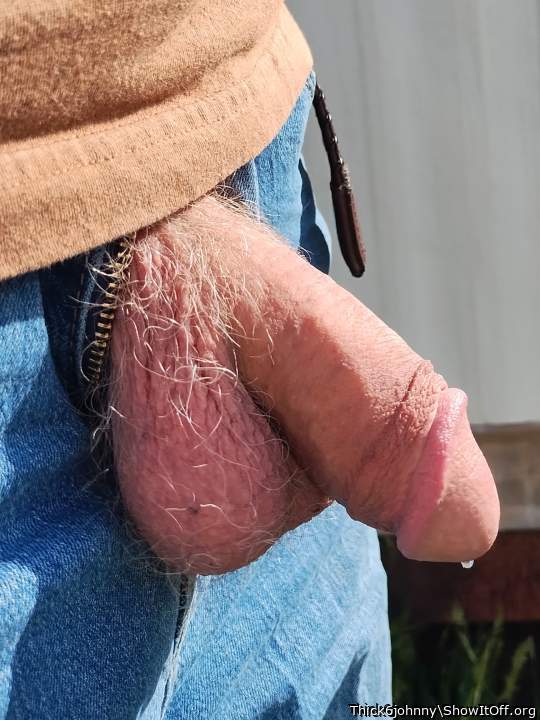 Nice fat circumcised softee 