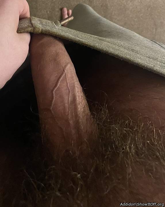 Adult image from Addidon