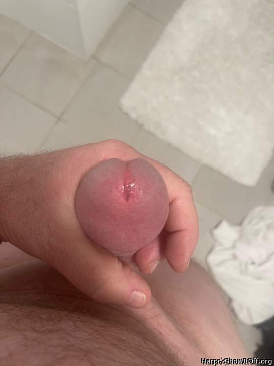 Adult image from Harpo