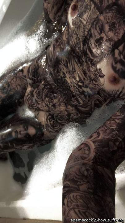 Adult image from adamscock