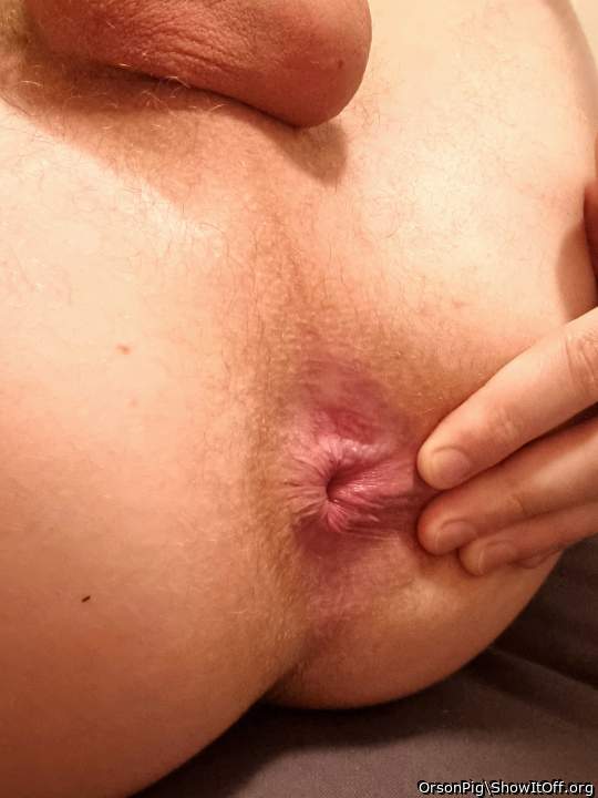 Adult image from OrsonPig