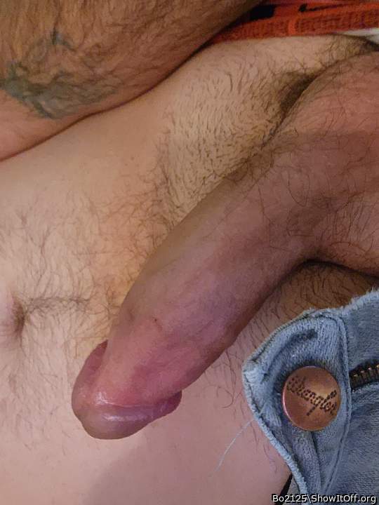 Adult image from Bo2125