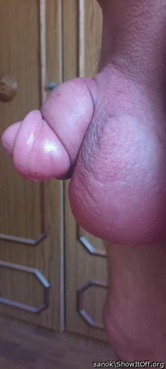 Adult image from sanok