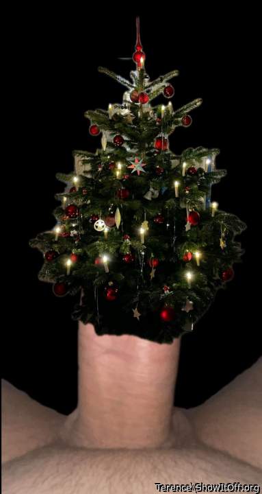 Adult image from Terence