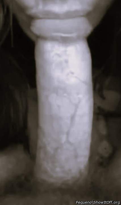 Adult image from Pequeno