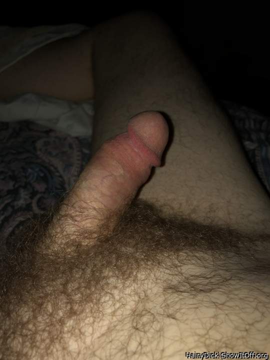 Bushy Dick