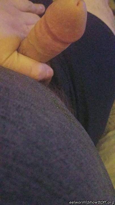 Adult image from eelworm