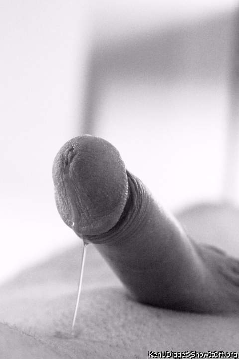 Adult image from KenUDigget