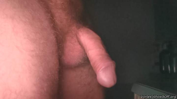 Adult image from Vortex