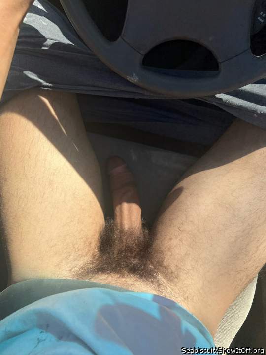 Hairy car cock