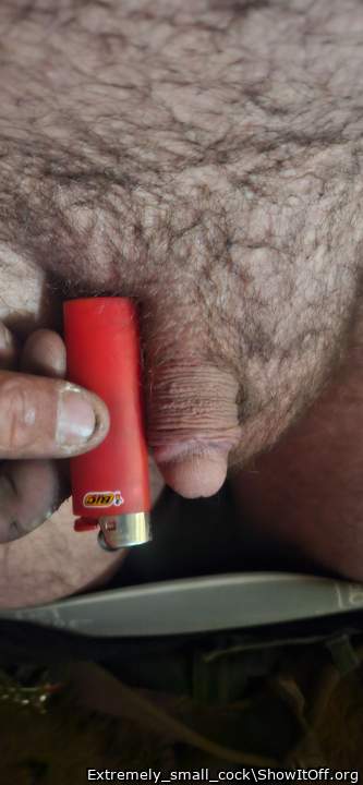 Isn't it just so tiny? Lets hear your most brutal thoughts and opinions please