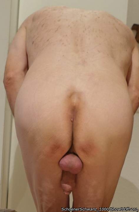 Adult image from SchoenerSchwanz_1000