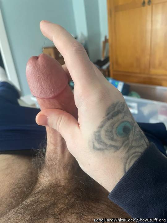 Adult image from LongHardWhiteCock