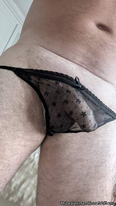 More of my wifes panties