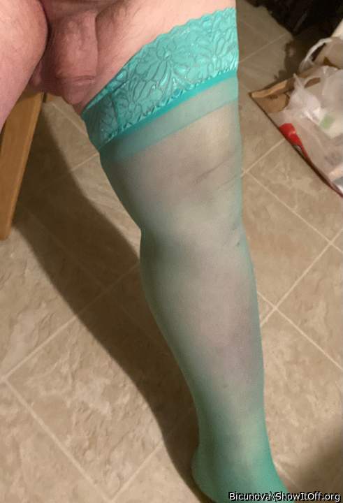 Adult image from Bicunova