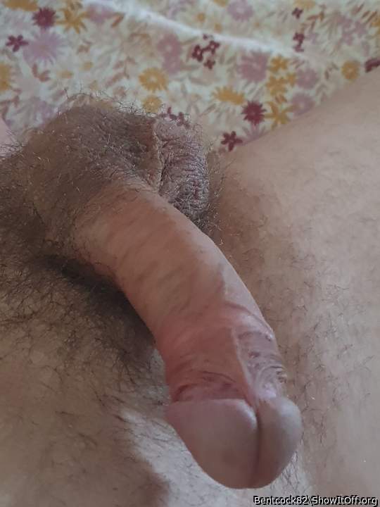 beautiful cock love to suck you please