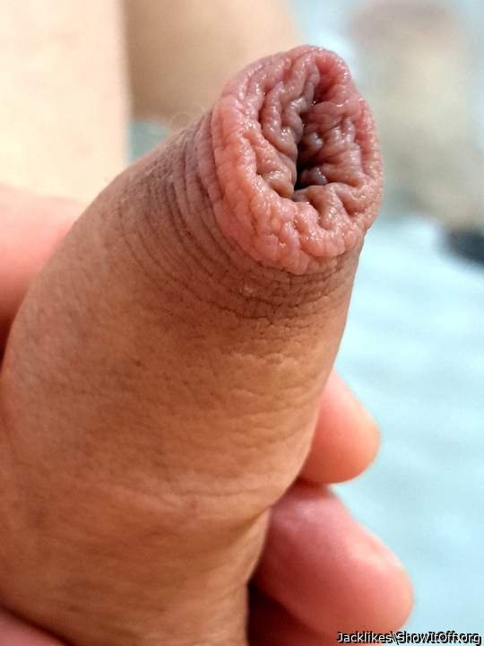 Divine uncut dick, glorious foreskin    