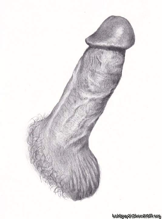 Pencil drawing of penis perfection