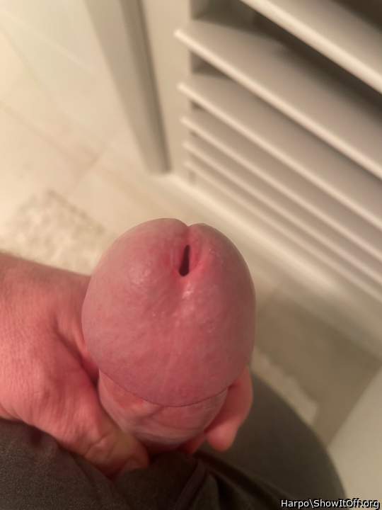 Adult image from Harpo