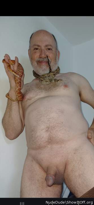 Naked selfie w/cornsnake and boa