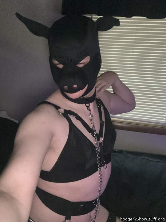Who's the new hog in town?