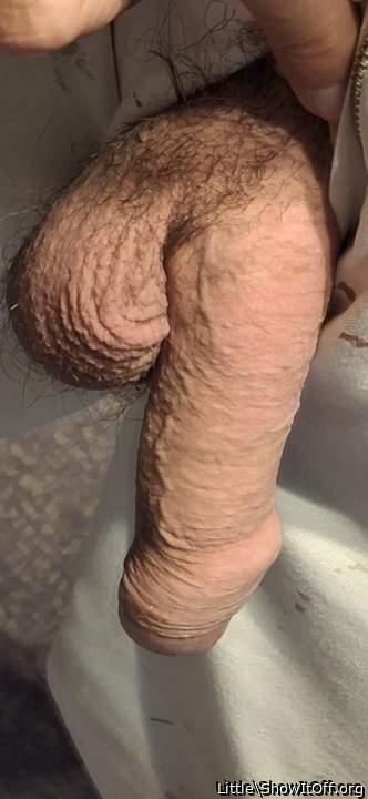 nice uncut dick 