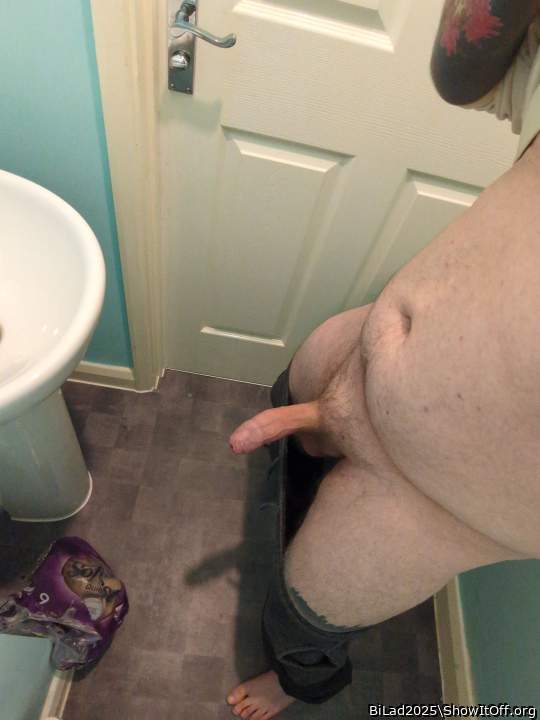 Adult image from BiLad2025