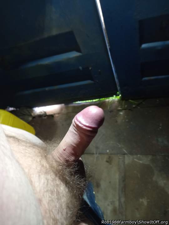 From one straight guy to another that's a fine looking cock