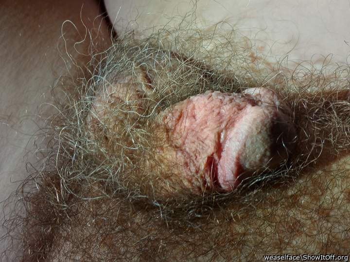 Adult image from weaselface