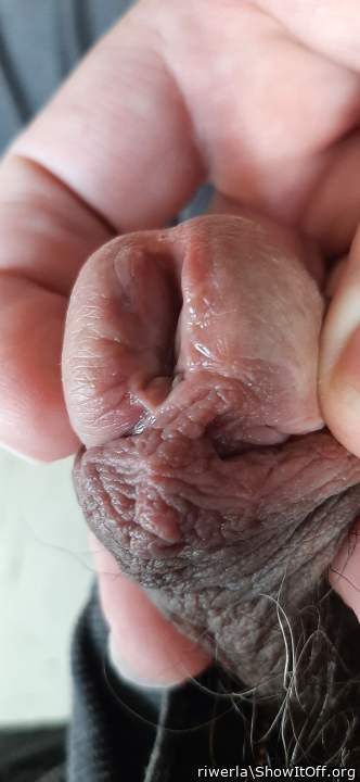 Beautiful cock pussy!!!  