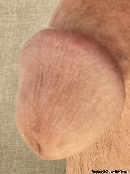 Adult image from ttimboy2