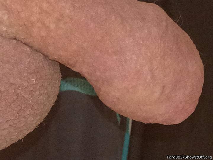 Adult image from Ford303