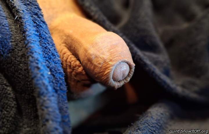 Adult image from quint