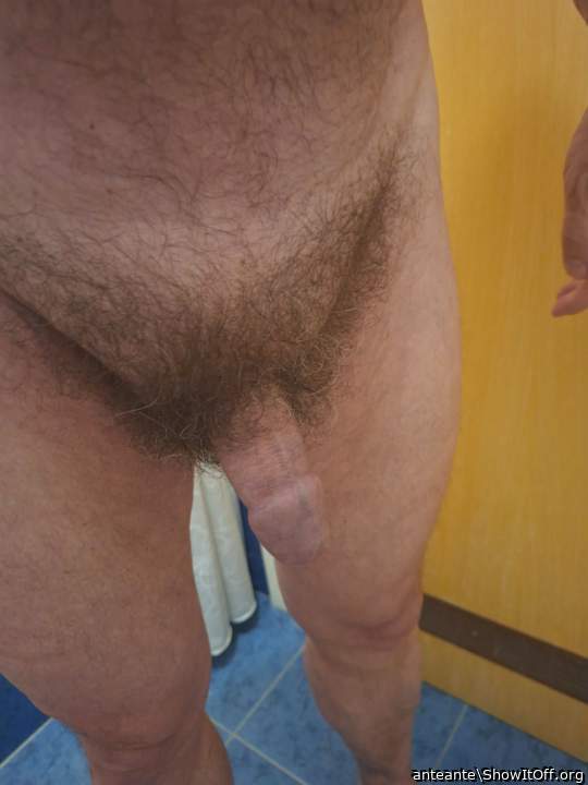 Adult image from anteante