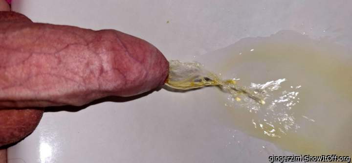 Adult image from gingerzim