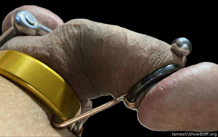 Restrained by a gland ring.