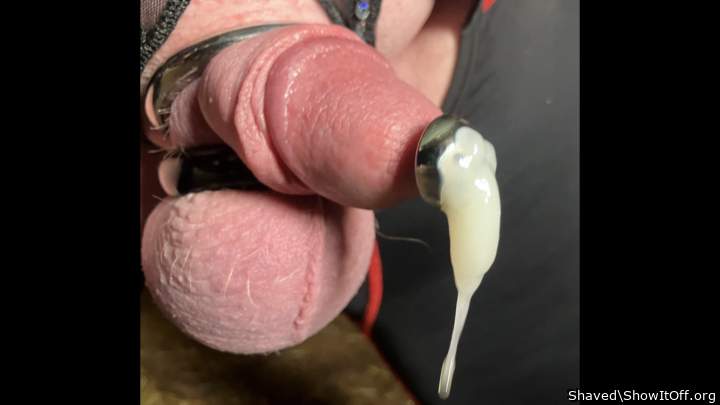 Adult image from Shaved