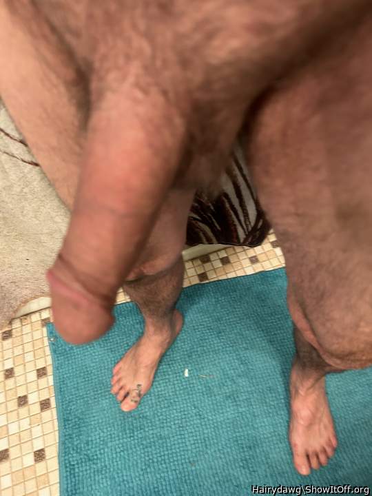 My Cock and My Camel Toe!!!