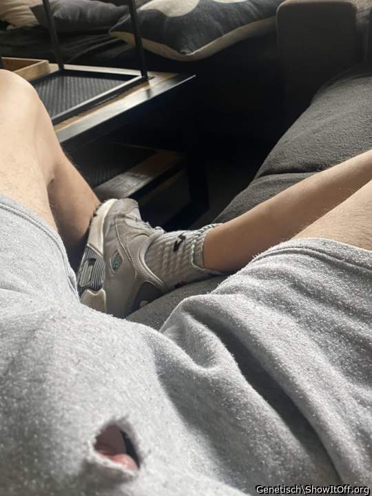 Adult image from Genetisch