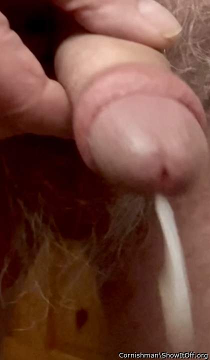 Adult image from Cornishman