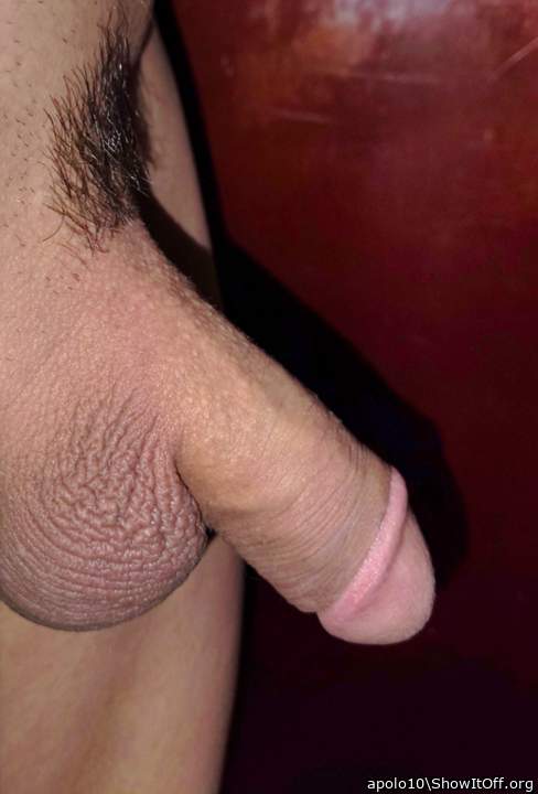 Adult image from apolo10