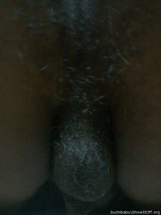 Adult image from pavan