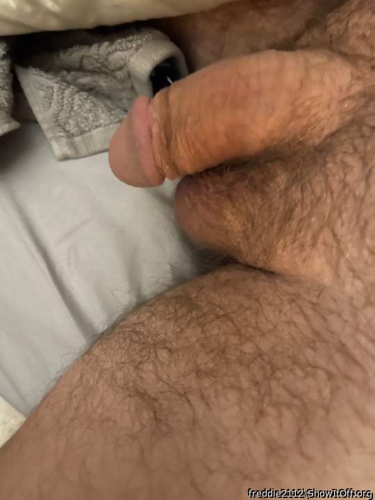 Adult image from freddie2112