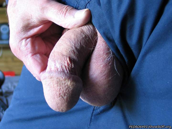 Adult image from PEDRO6491