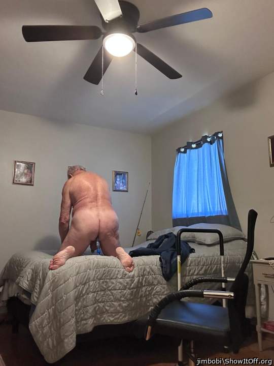 Adult image from jimbobi